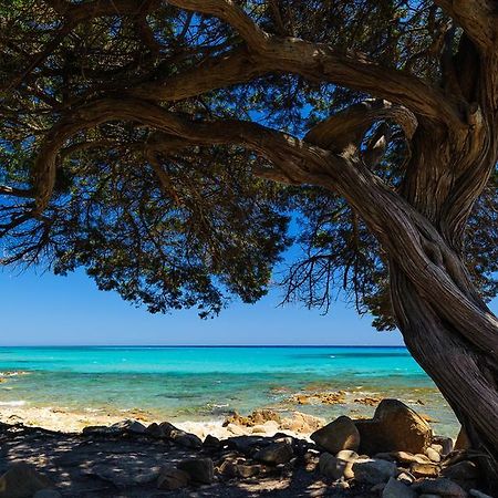 منزل الضيف أروسييْ  في La Ginestra المظهر الخارجي الصورة