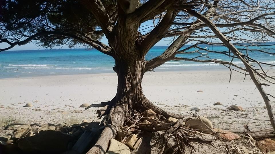 منزل الضيف أروسييْ  في La Ginestra المظهر الخارجي الصورة