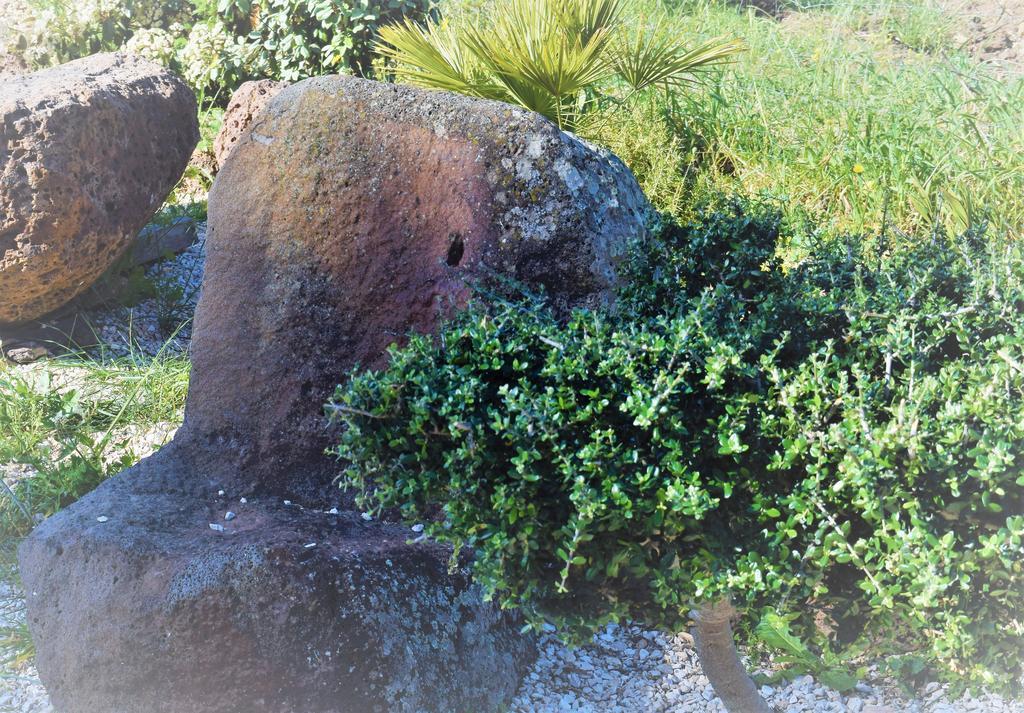منزل الضيف أروسييْ  في La Ginestra المظهر الخارجي الصورة
