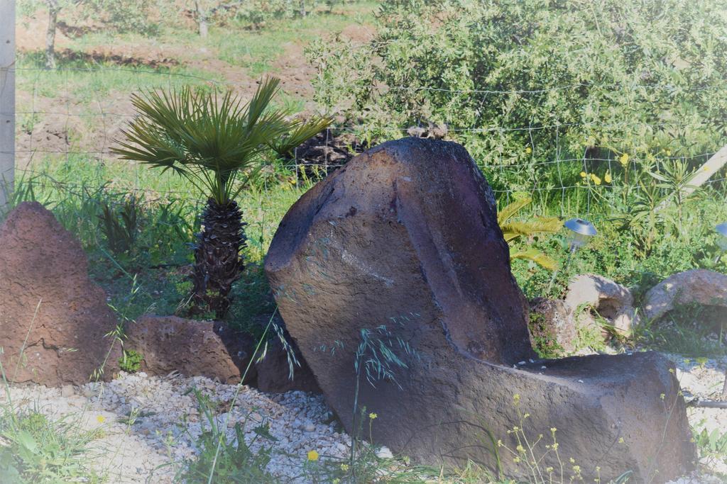 منزل الضيف أروسييْ  في La Ginestra المظهر الخارجي الصورة
